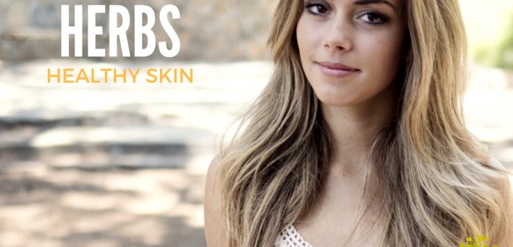 Ayurvedic Herbs for Healthy Skin