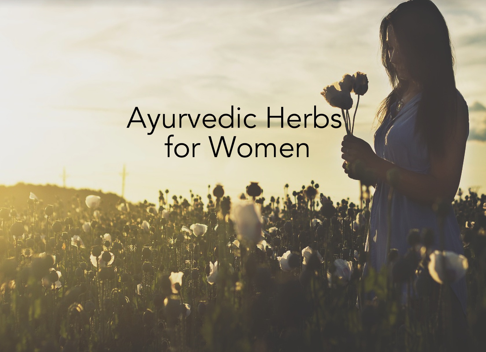 Women’s Special! The Top 4 Ayurvedic Herbs For Women