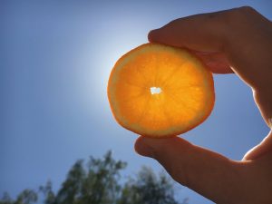 digestion and sun