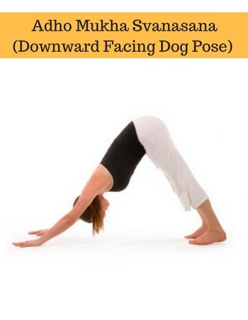 adho mukha svanasana downward facing dog yoga basics for beginners