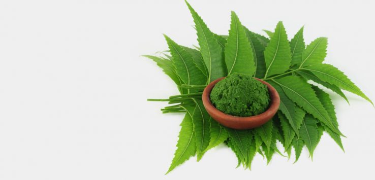 Benefits of Neem Leaves