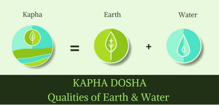 understanding kapha dosha ayurvedum
