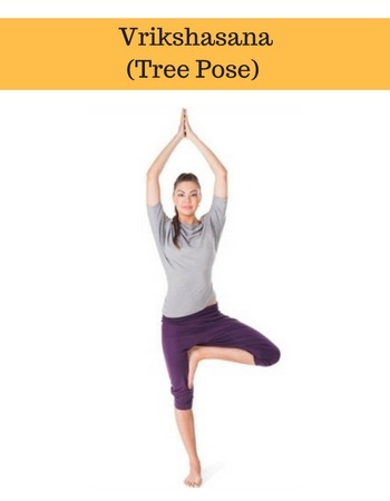 vrikshasana tree yoga basics for beginners