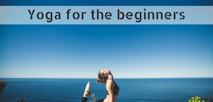 Yoga basics for beginners