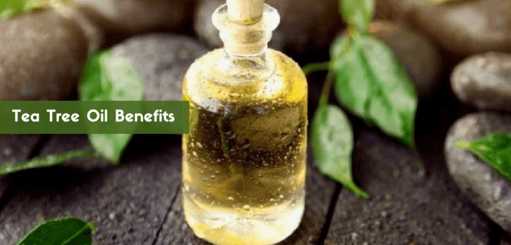 Tea Tree Oil Uses