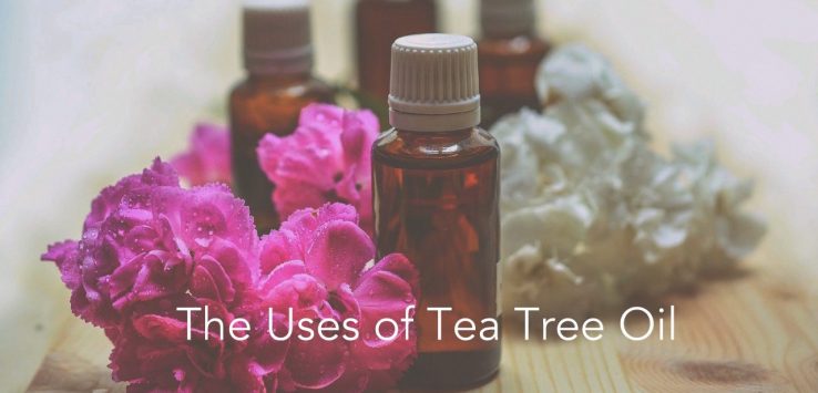 essential-oils-1433694_1280