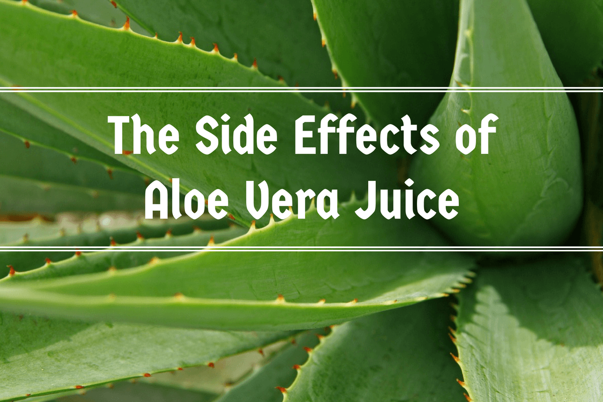 6 Aloe Vera Juice Side Effects You Must Know Ayurvedum