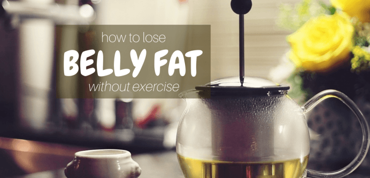 how to lose belly fat without exercise