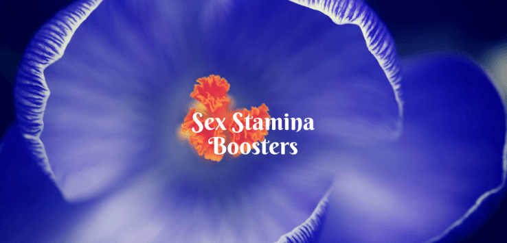 how to increase sex stamina