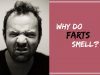 why do farts smell
