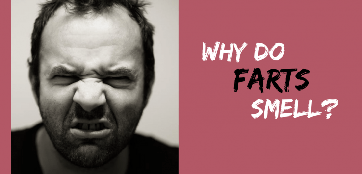 why do farts smell