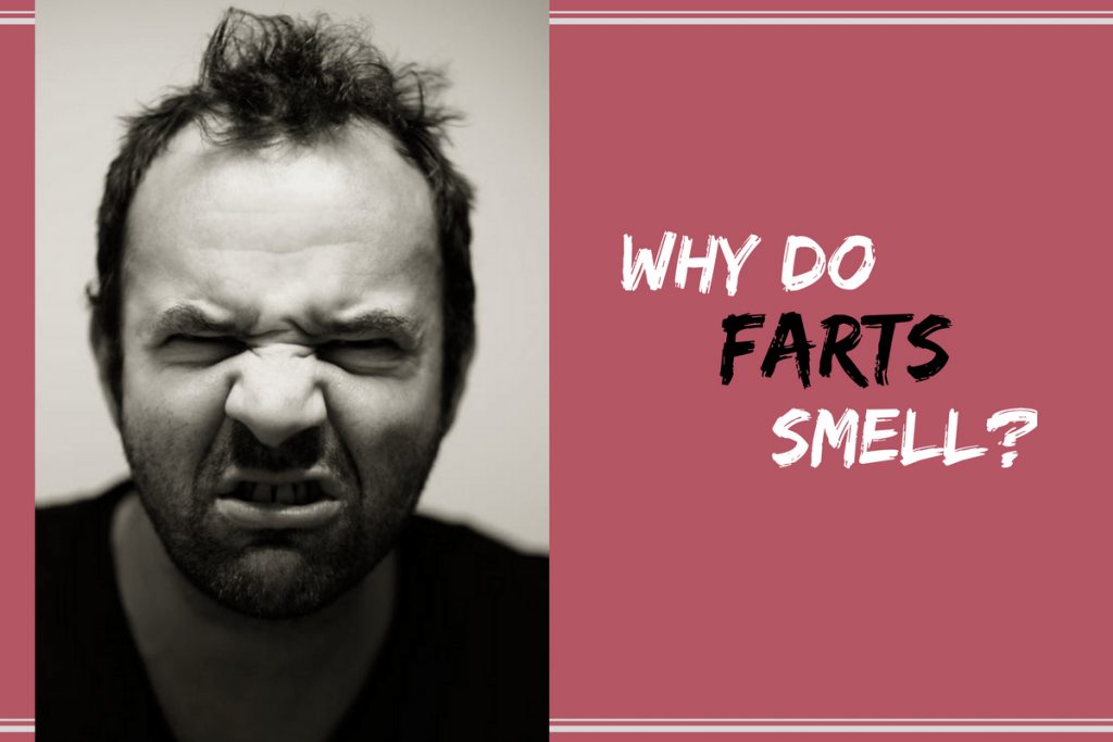 why do farts smell