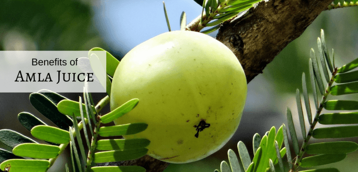 amla powder drink