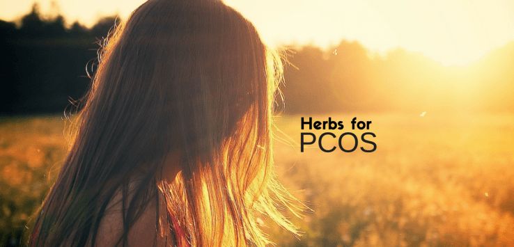 Ayurvedic herbs for PCOS