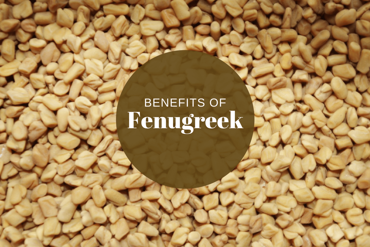 6 Impressive Fenugreek Ayurveda Benefits from Cholesterol to Skin Care