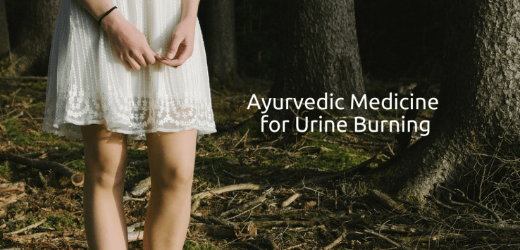 Ayurvedic medicine for urine burning