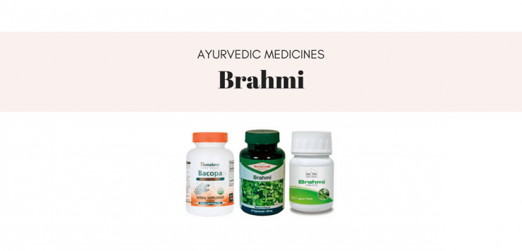 brahmi plant