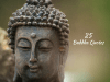 Buddha Quotes