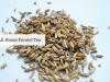 Fennel Tea