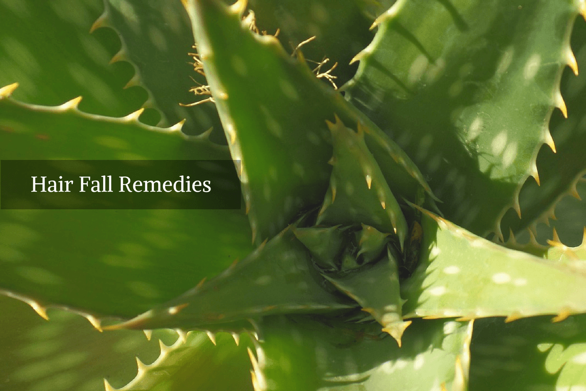 howtoreducehairfallnaturally Ayurvedum