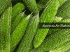 Ayurvedic remedies for Diabetes