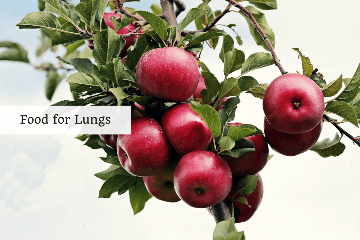 6 Examples Of Super Healthy Food For Lungs Ayurvedum