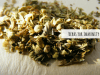 Immunity Boosting Herbs