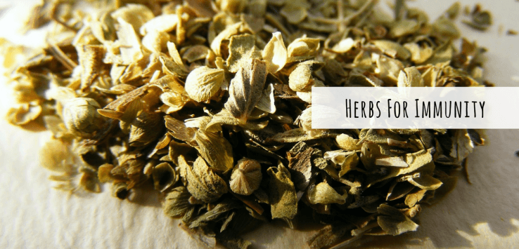 Immunity Boosting Herbs