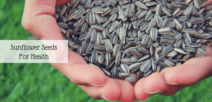 sunflower seeds benefits