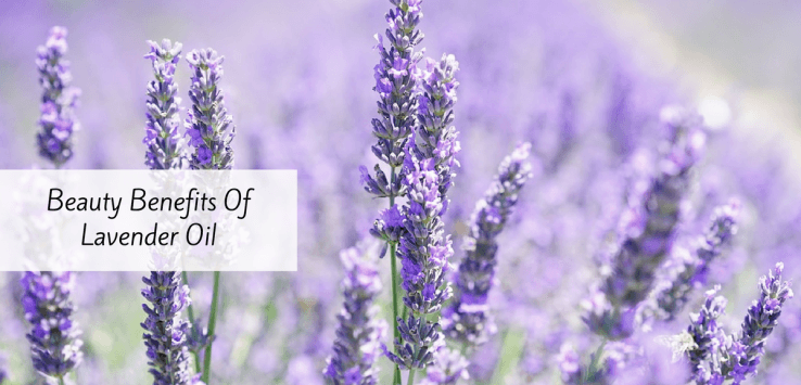 benefits of lavender oil