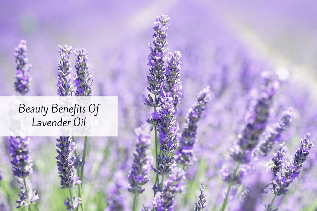 5 Impressive Lavender Oil Benefits For Your Skin And Hair 5 Impressive Lavender Oil Benefits For Your Skin And Hair