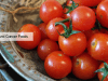 anti cancer foods