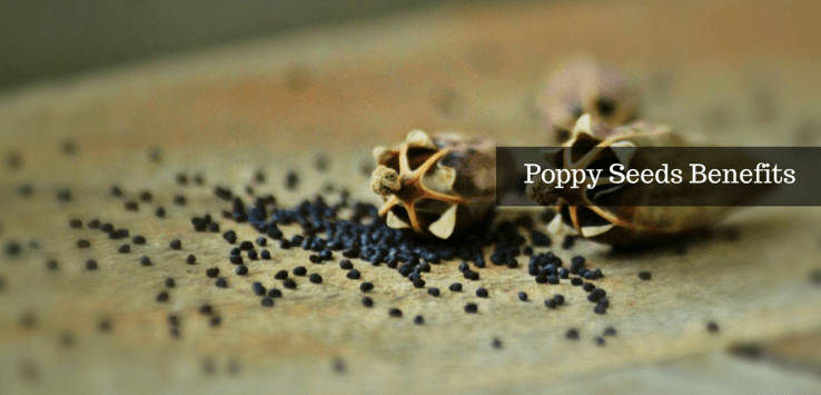 poppy seeds benefits