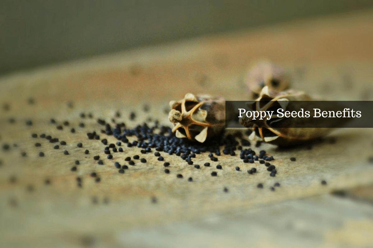 6 Poppy Seeds Benefits You Ought To Know About