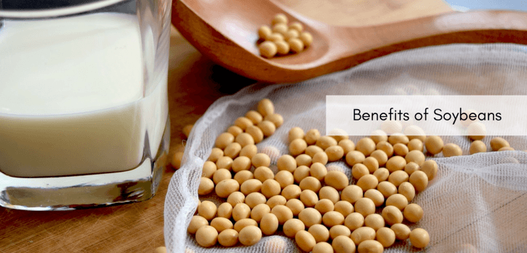 soybean benefits