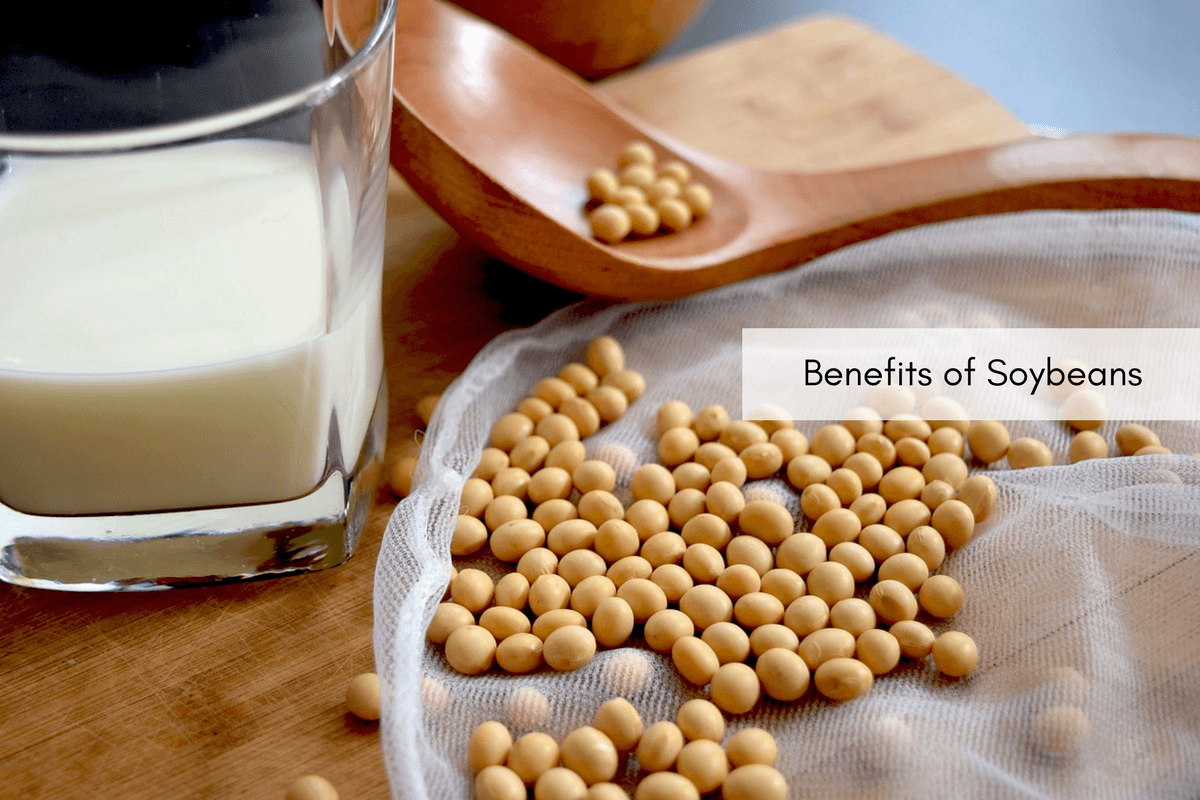 6 Reasons To Eat Soybeans From Heart Health To Bone Strength