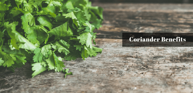 coriander benefits