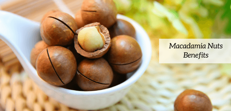 macadamia nuts health benefits