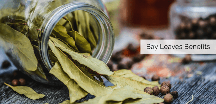 bay leaf uses