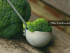 broccoli benefits
