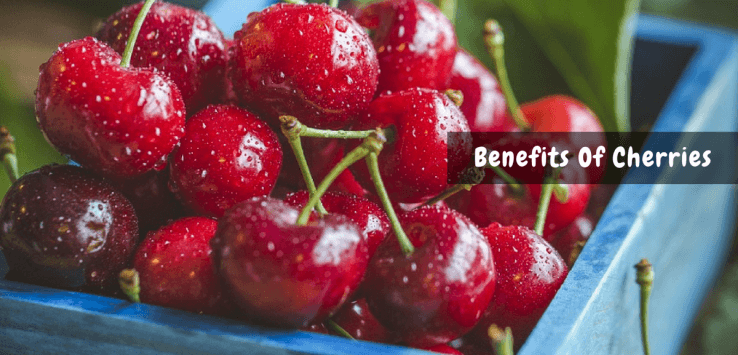 benefits of cherries