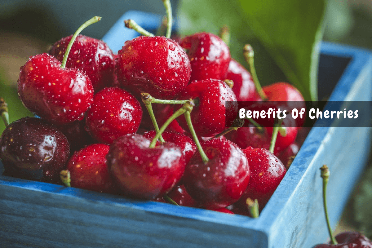 Noteworthy Benefits Of Cherries From Weight Loss To Better Sleep