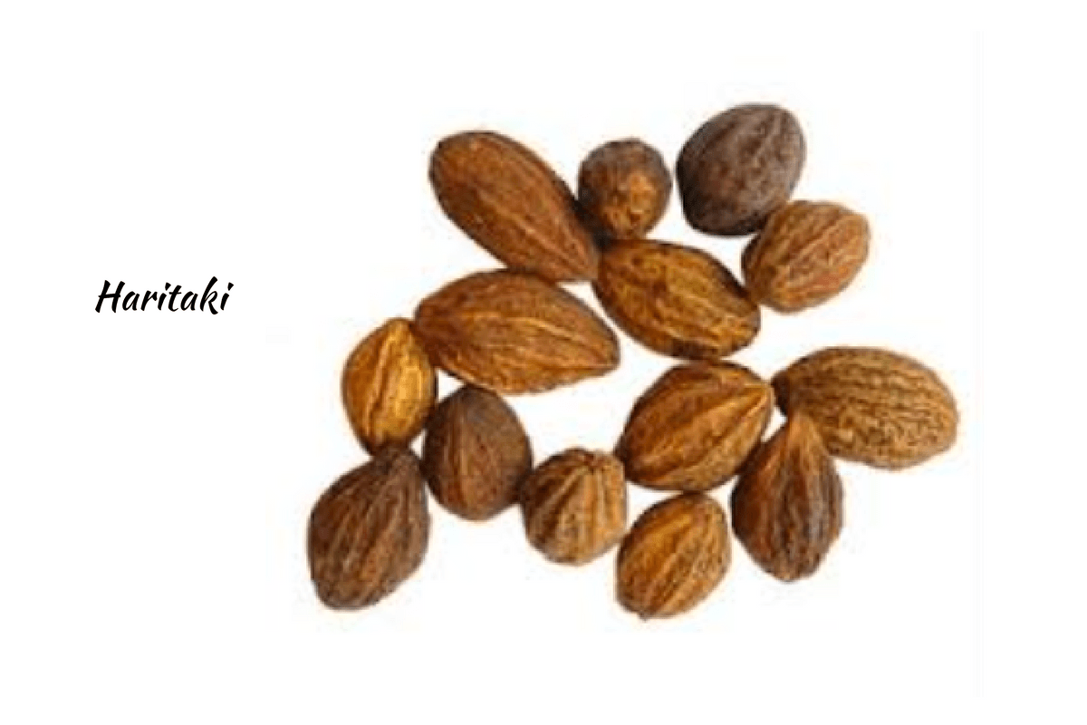 Harad Benefits: The Mother of Herbs in Ayurveda - Ayurvedum Harad Benefits: The Mother of Herbs in Ayurveda - Ayurvedum