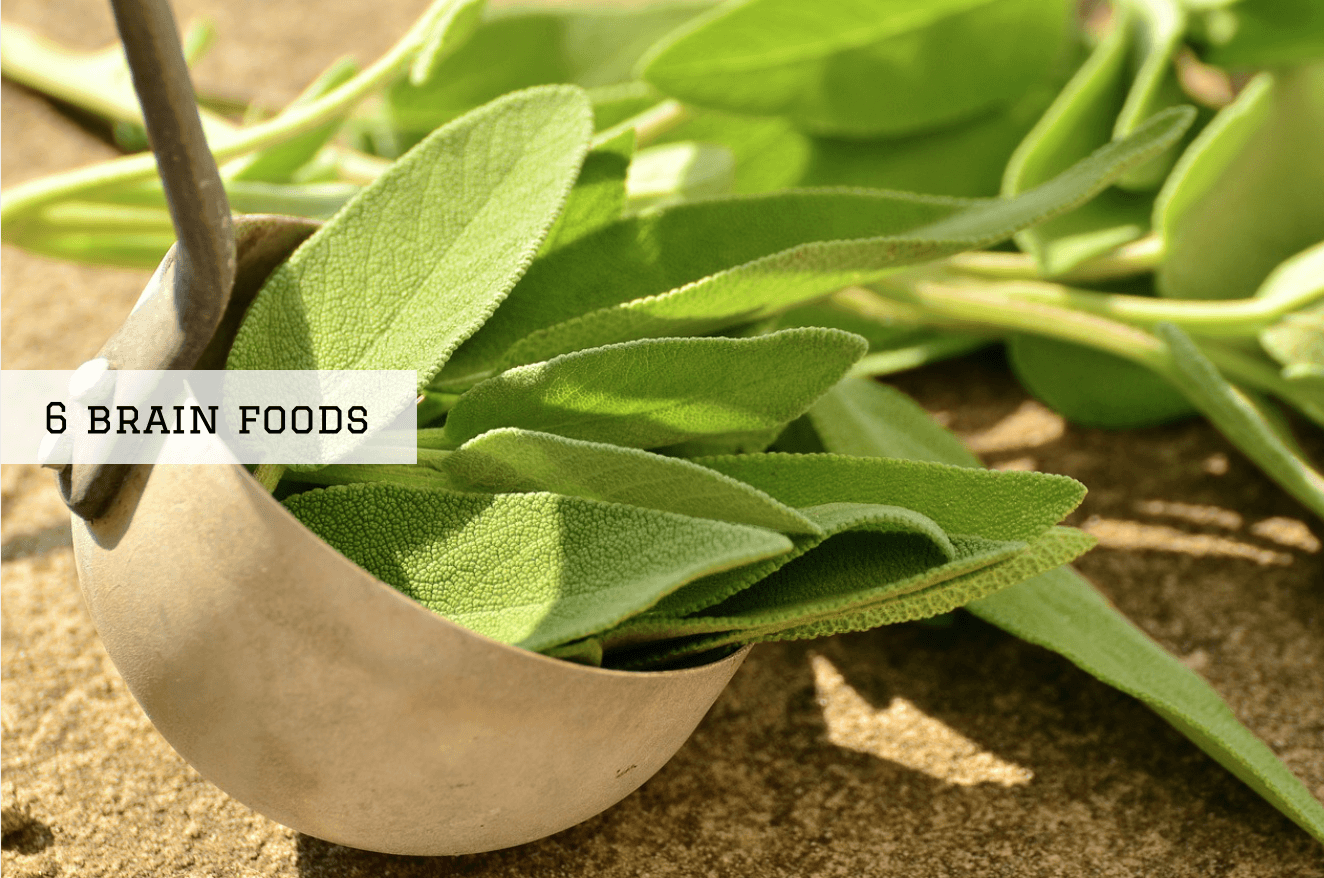 6 Plant Based Foods That Improve Memory And Concentration