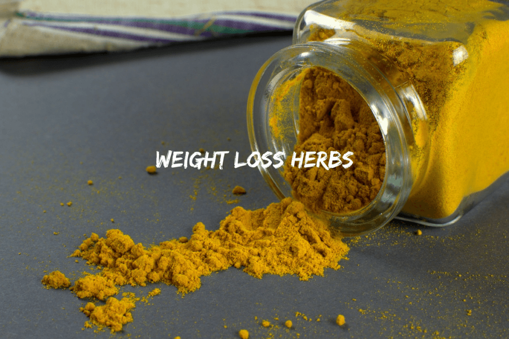 weightlossherbs Ayurvedum