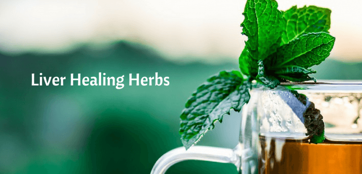 herbs for liver