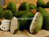 soursop benefits
