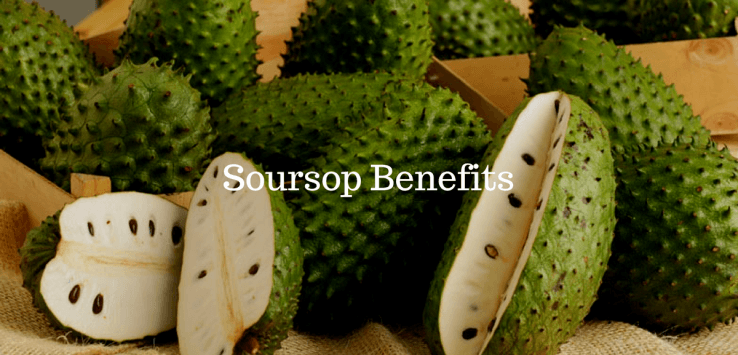 soursop benefits