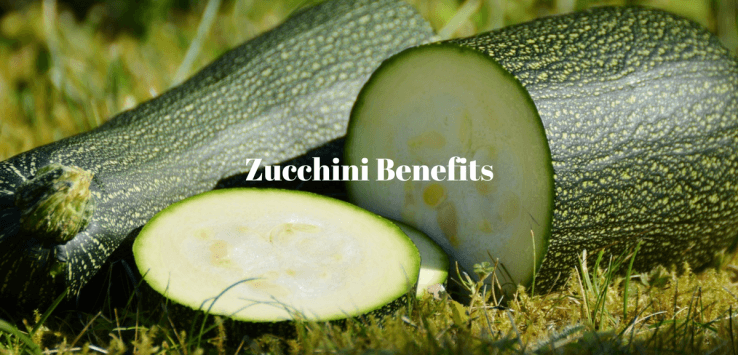 zucchini health benefits