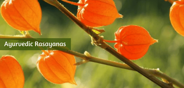 ayurvedic rasayana herbs